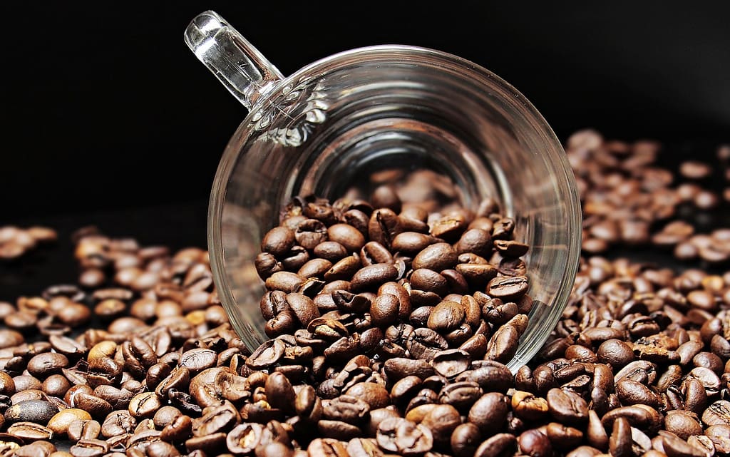 best medium roast coffee