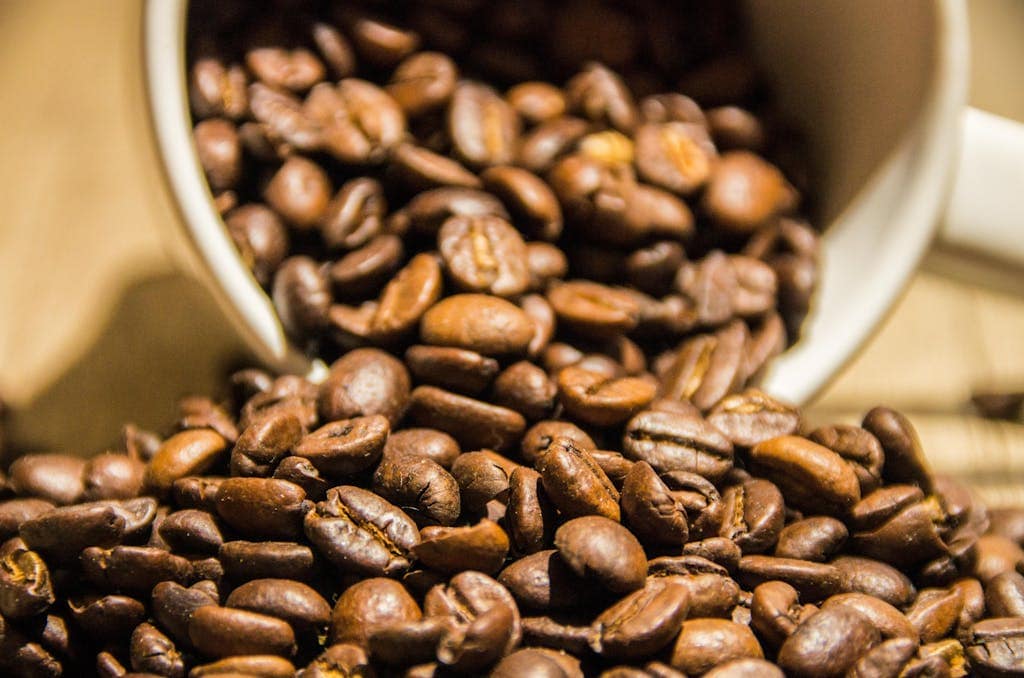 Discover the Best Home Coffee Roaster: Fresh Beans Anytime 7 A Close-up Shot of a Coffee Beans