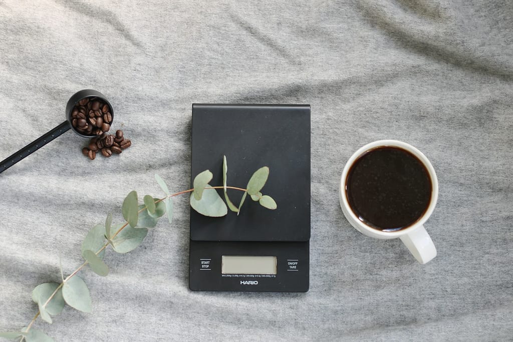 coffee to water ratio