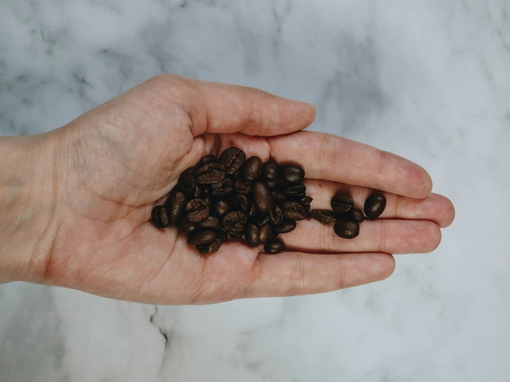 black stones on persons hand