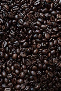 Best Coffee Beans in the World 2 Dark Coffee Beans